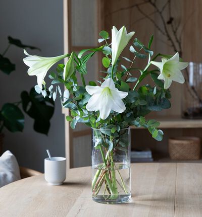 Liljebukett S Liljebukett S